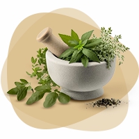 گیاهان دارویی